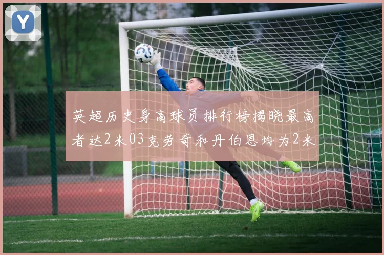 英超历史身高球员排行榜揭晓最高者达2米03克劳奇和丹伯恩均为2米01