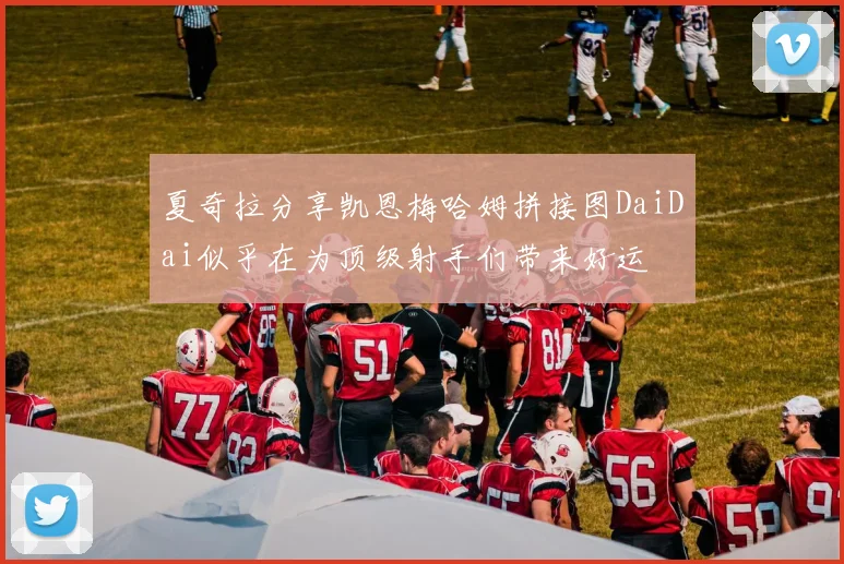 夏奇拉分享凯恩梅哈姆拼接图DaiDai似乎在为顶级射手们带来好运