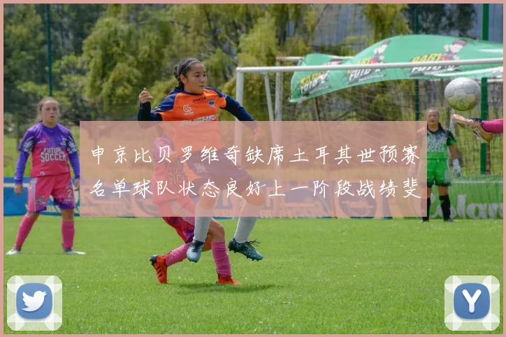 申京比贝罗维奇缺席土耳其世预赛名单球队状态良好上一阶段战绩斐然